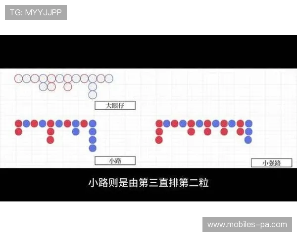 从百家乐小路深度解析今日胜率变化成市场最大焦点趋势与策略启示 从百家乐小路深度解析今日胜率变化成市场最大焦点趋势与策略启示